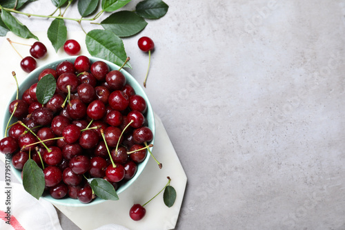 Sweet juicy cherries and leaves on grey table, flat lay. Space for text