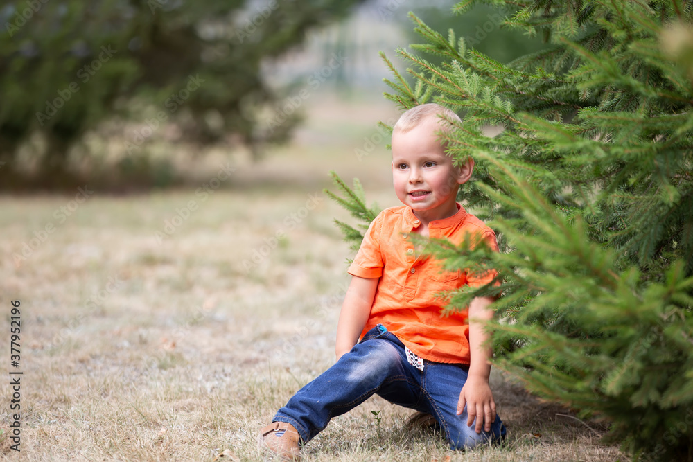 The little boy sits on the grass under the tree. The little boy sits on the grass under the tree.