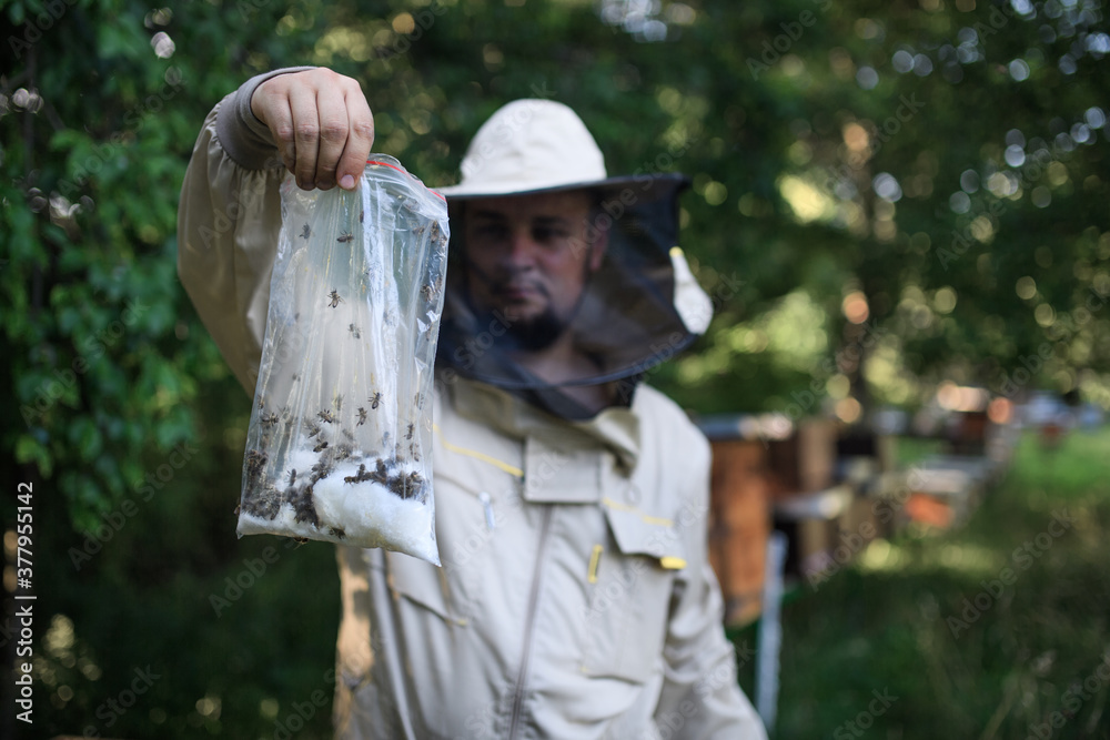 Portrait of man beekeeper working in apiary.