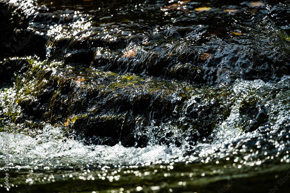 Fototapeta premium Close up of clean clear water rushing over rocks in a river stream.