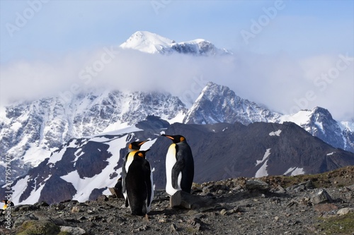 Antarctic Conference