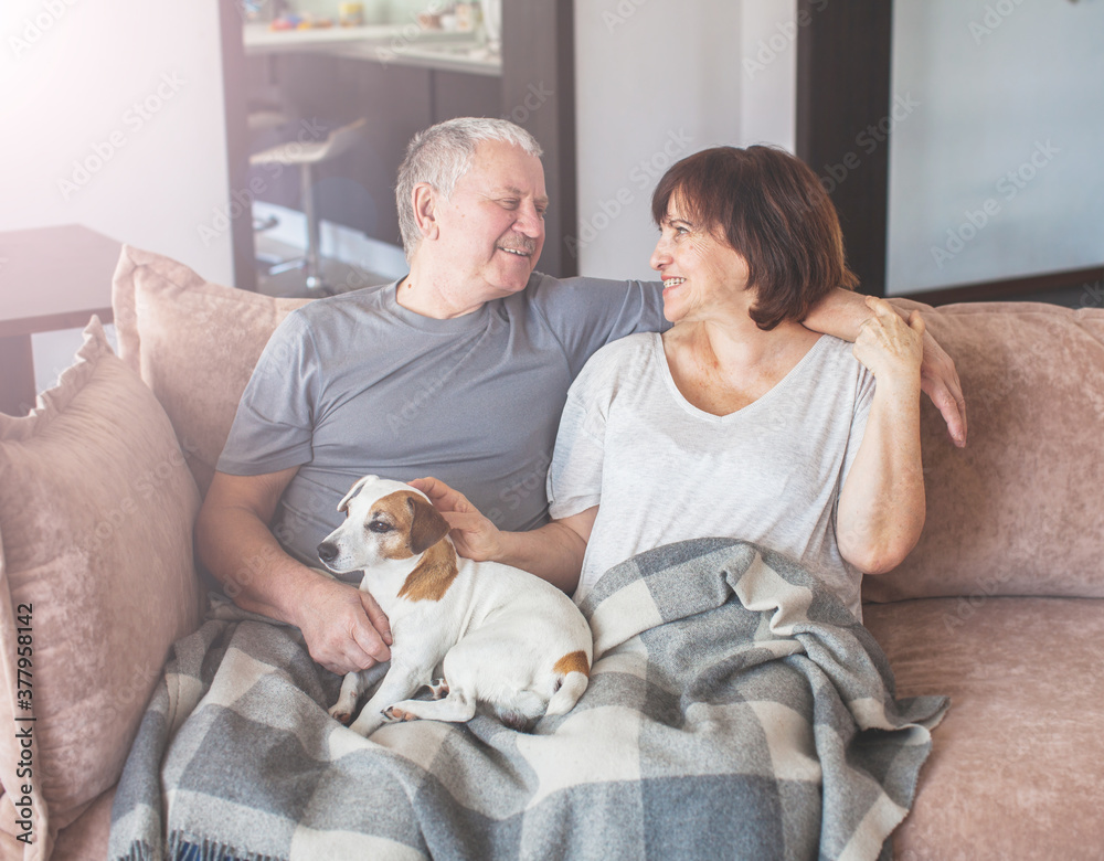 Happy elderly couple sitting on sofa at home Happy elderly couple sitting on sofa at home