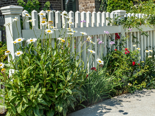 Colorful flowers line white picket fence.