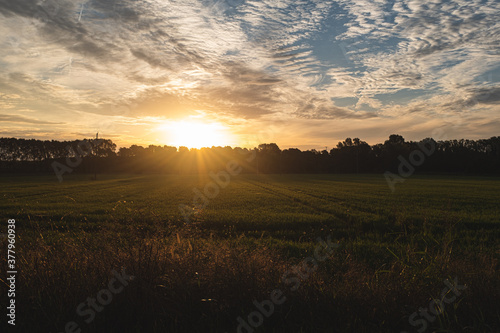 Sun rising and shining on a green rice field landscape on a cloudy sky nature background