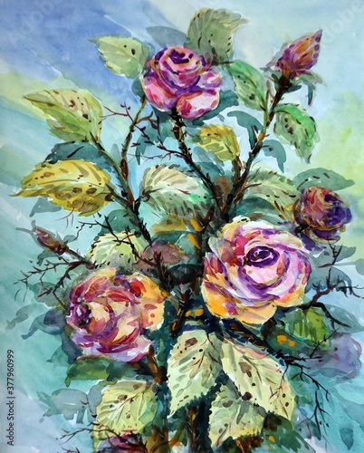 Fototapeta Naklejka Na Ścianę i Meble -       Art painting Hand drawn Watercolor with pink Rose flowers thailand   