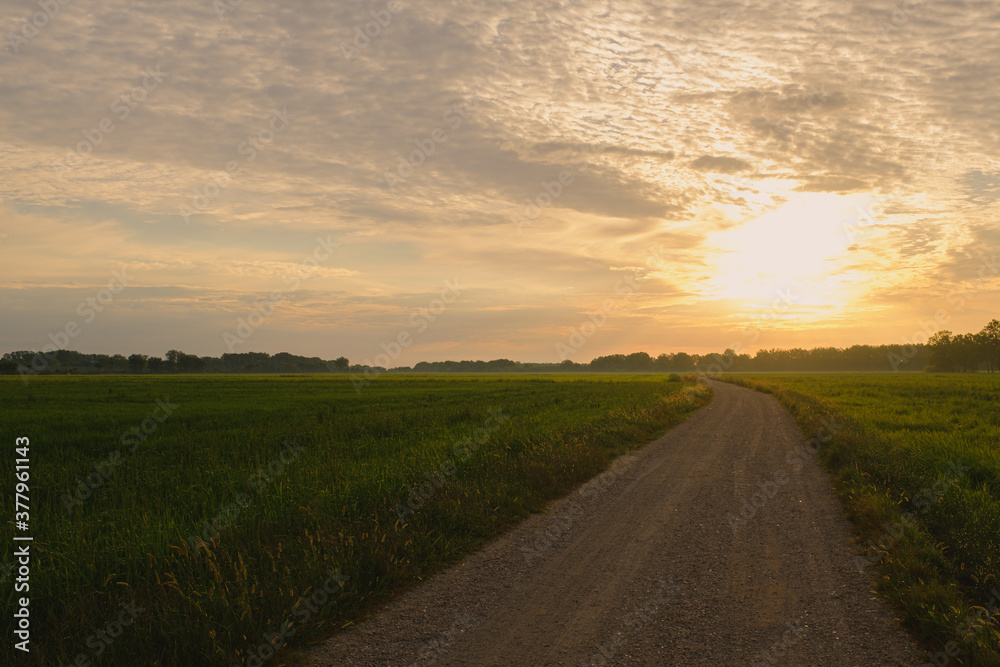 Bright sunshine rising on a cloudy sky on a rural landscape with gravel pathway