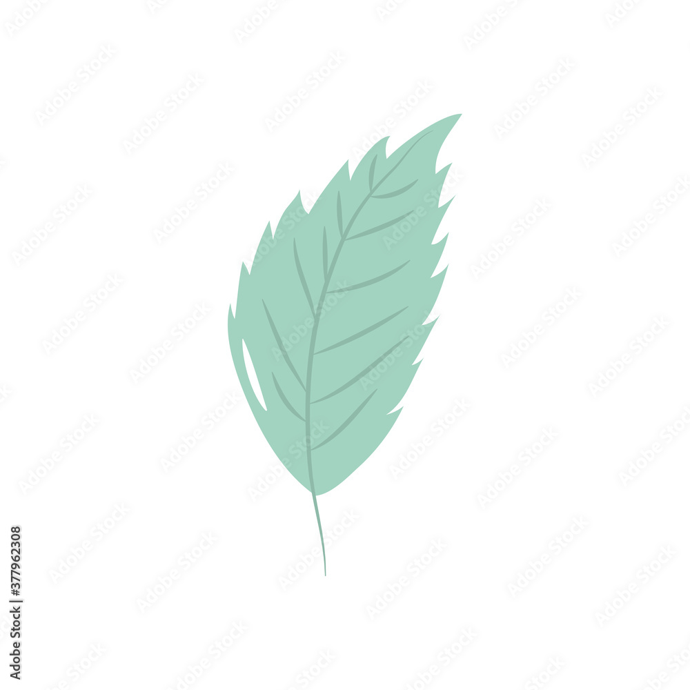 autumn leaves concept, hornbeam leaf icon, flat style