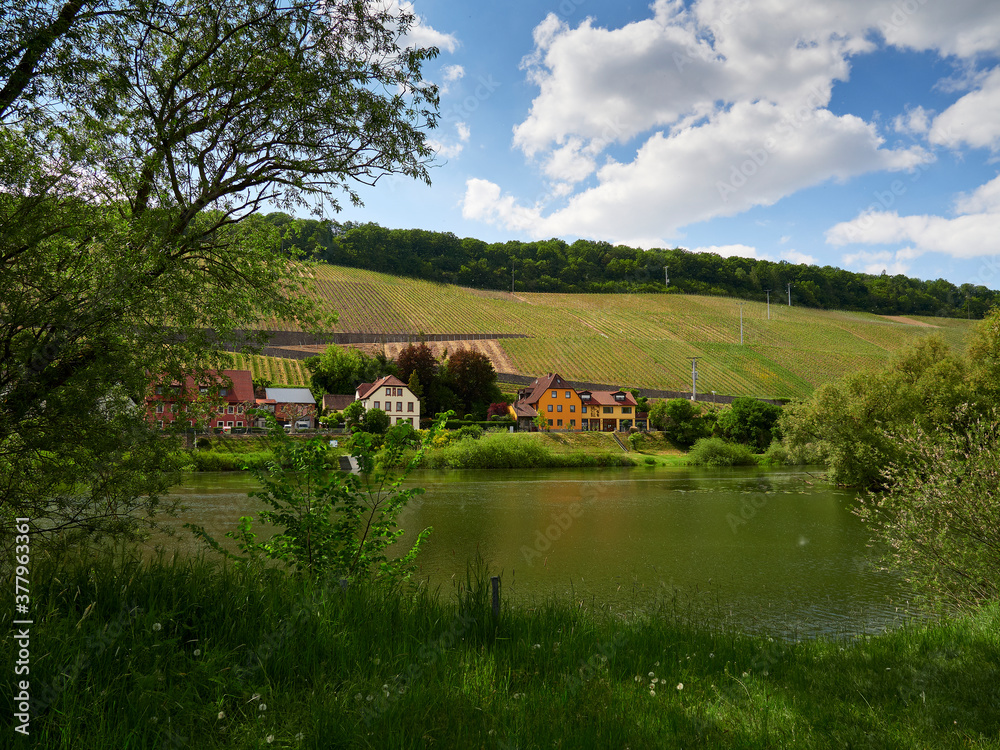 Fototapeta premium Vogelsburg und Weinberge an der Volkacher Mainschleife, Unterfanken, Bayern, Deutschland