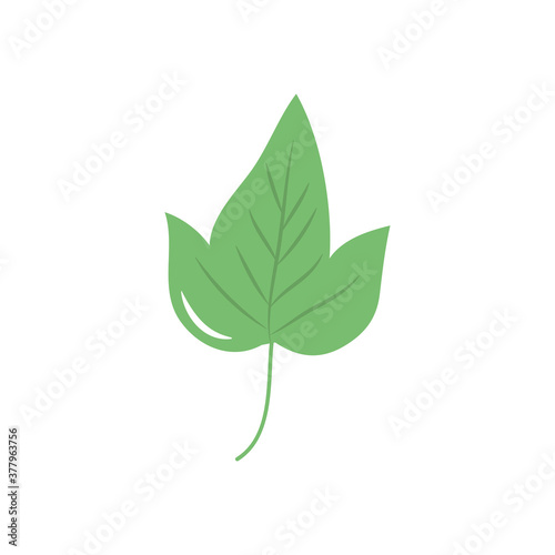 sycamore leaf icon, flat style
