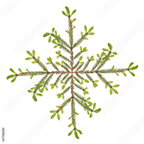 snowflake from small green fir branches isolated on white © Alexander Potapov