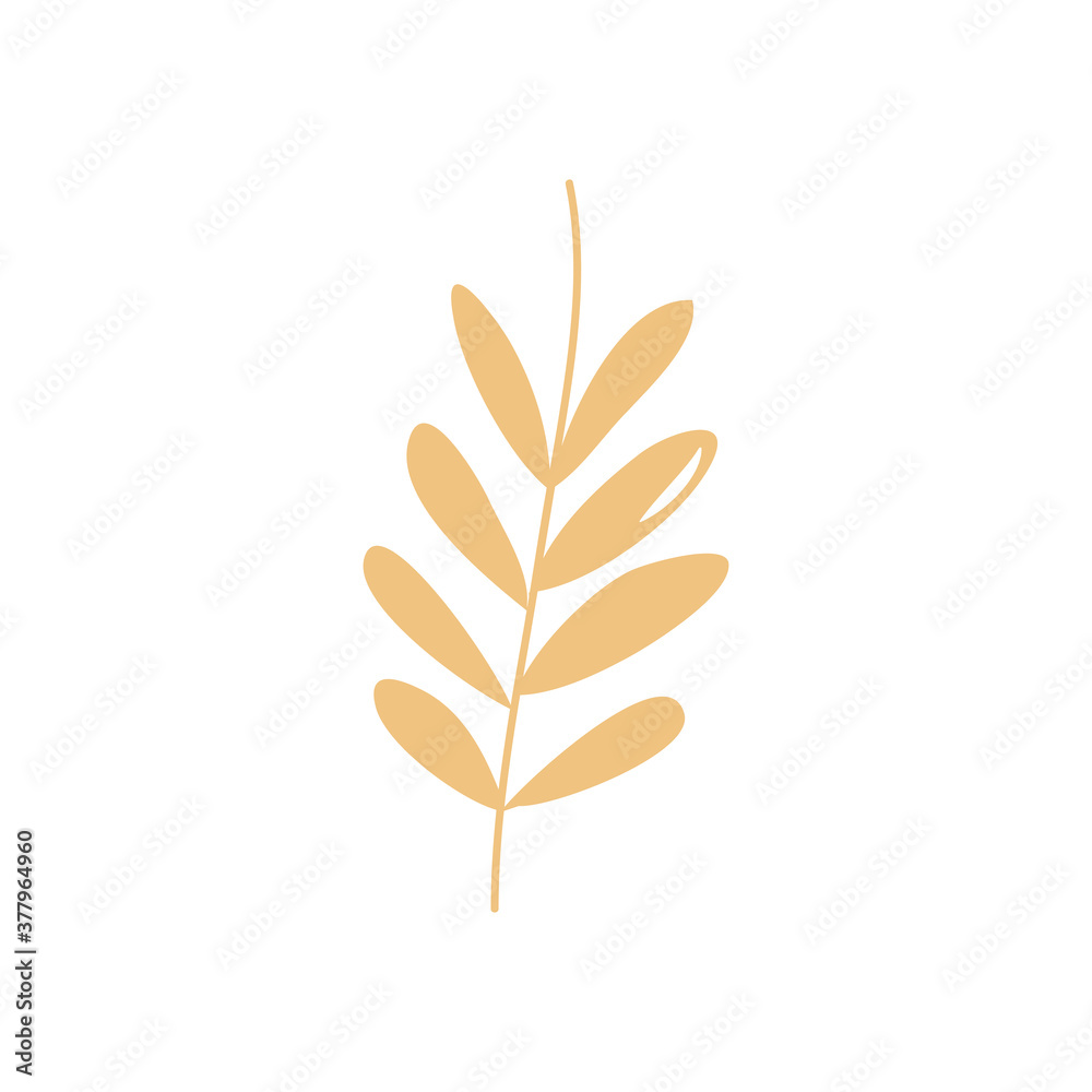 autumn leaves concept, ash leaf icon, flat style