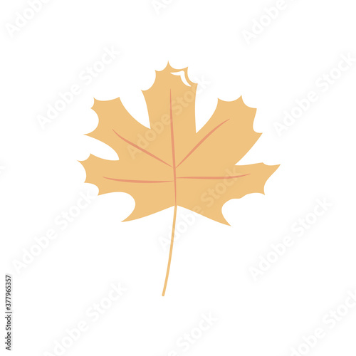 autumn leaves concept, maple leaf icon, flat style