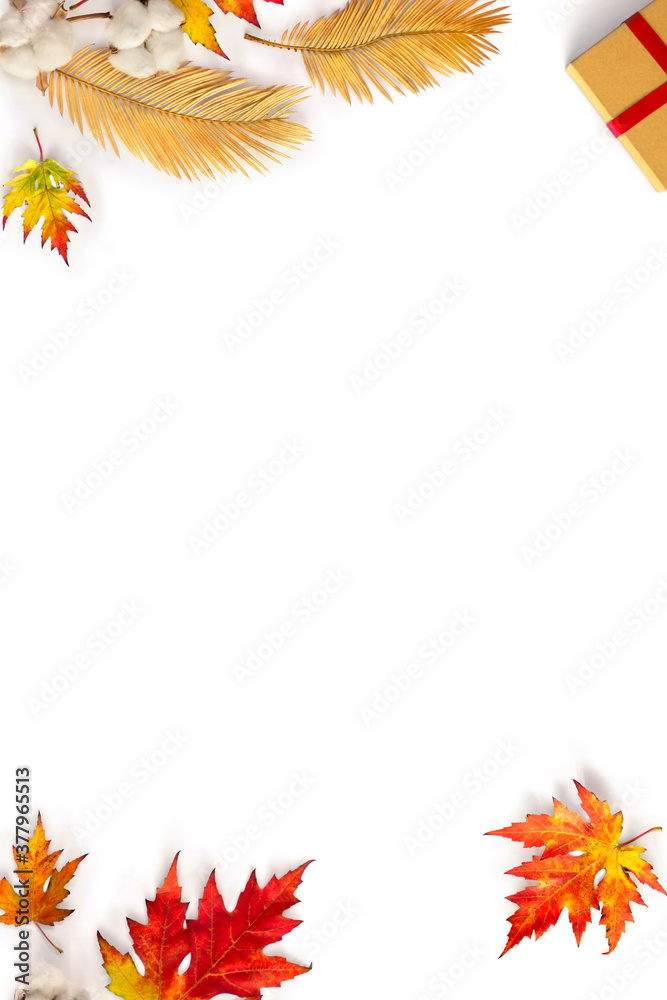 Autumnal frame of maple leaves, golden yellow leaves palm tree, cotton flowers, gift box on white background with space for text. Top view, flat lay