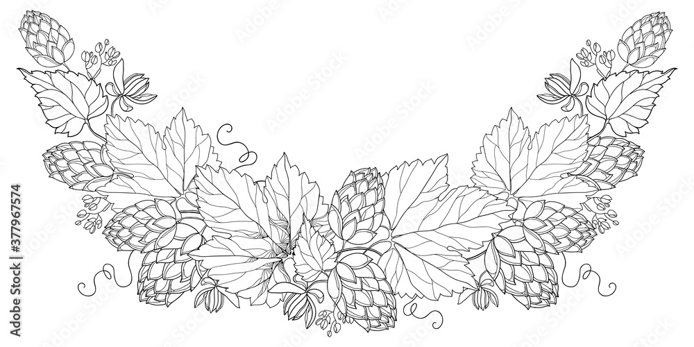 custom made wallpaper toronto digitalRound bunch of outline Hop with leaf, cones and flower in black isolated on white background.