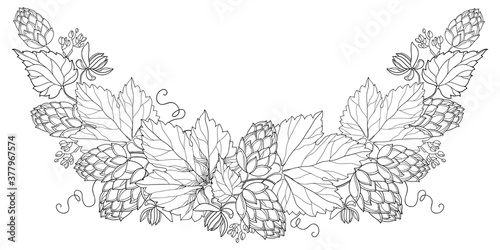 Round bunch of outline Hop with leaf, cones and flower in black isolated on white background.