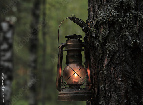 Photos An old kerosene lamp hangs on a tree in the autumn forest.