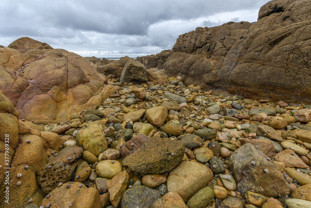Rocks at low tide on the French Atlantic coast