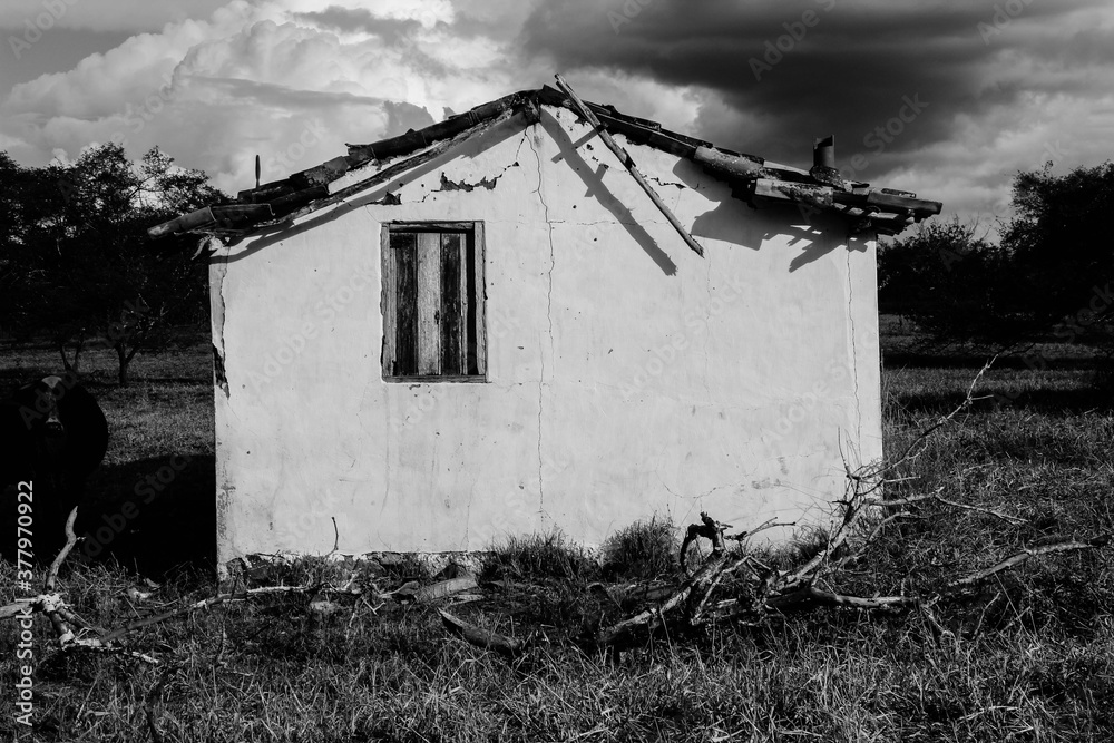 Obraz premium abandoned house in the woods