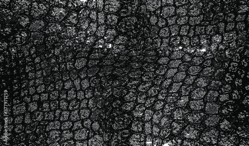 Snakeskin pattern imitation. Lines and spots structural texture. Cool and artsy faux leather background. Abstract vector illustration. Black isolated on white. EPS10