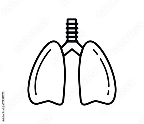 lung flat simple vector illustration
