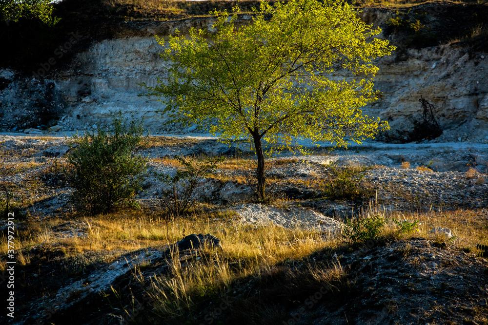 Beautiful landscape in village Rogojeni in Moldova, Europe. Autumn nature. The natural landscape of limestone rock, eroded by the river. Beautiful landscape in village Rogojeni in Moldova, Europe. Autumn nature. The natural landscape of limestone rock, eroded by the river.