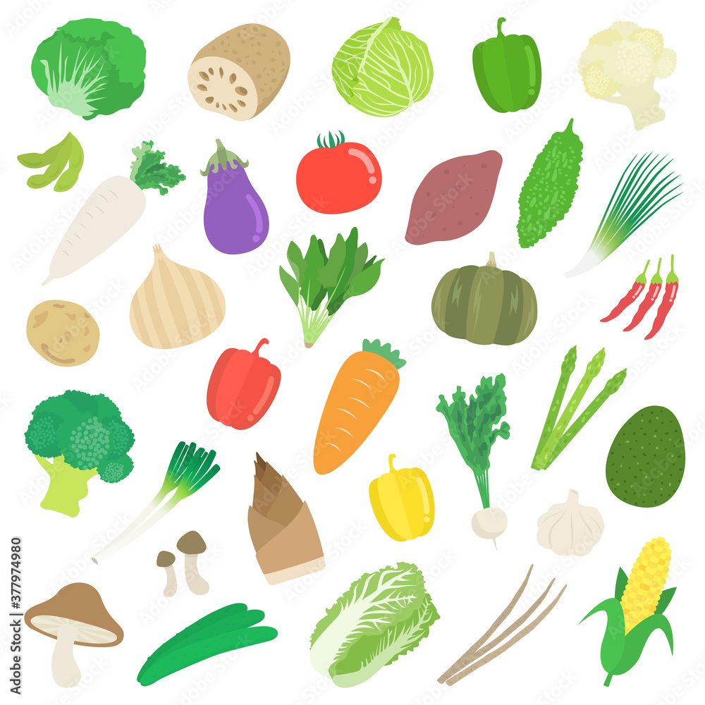 野菜のイラストセット 野菜のイラストセット