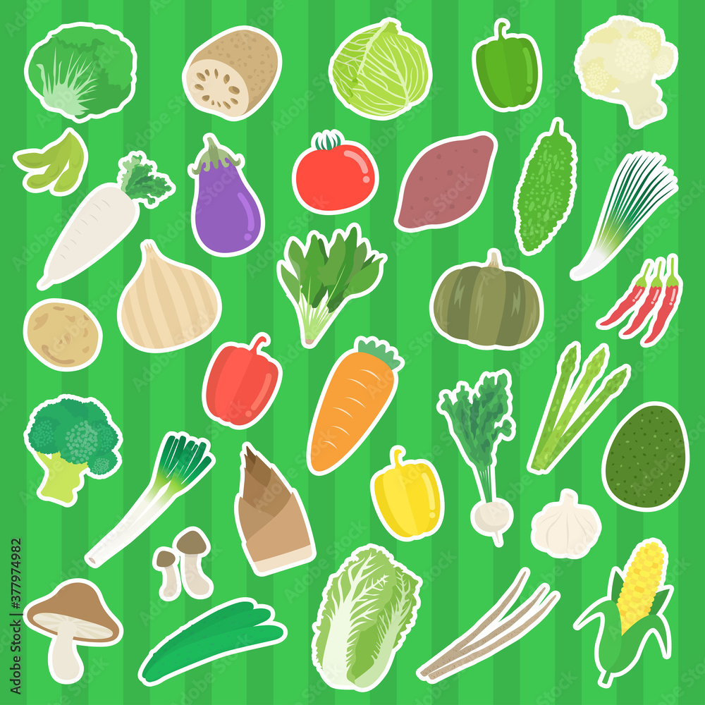 野菜のイラストセット 野菜のイラストセット
