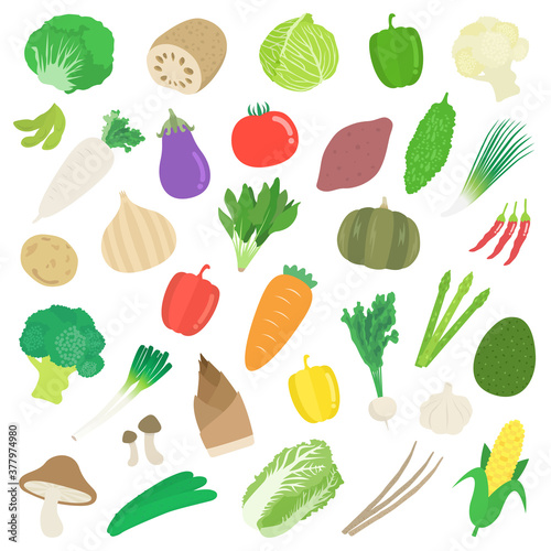野菜のイラストセット