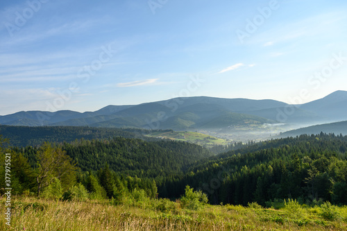 Carpathian mountains summer sunset landscape with sun and alpine pines