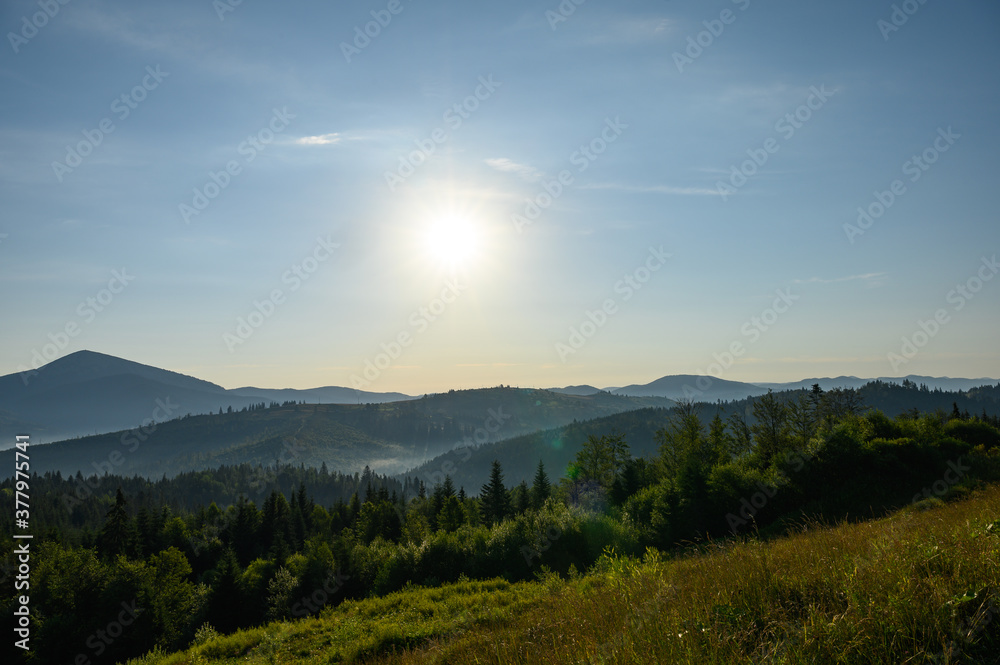 Carpathian mountains summer sunset landscape with sun and alpine pines