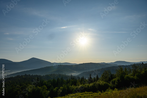 Carpathian mountains summer sunset landscape with sun and alpine pines