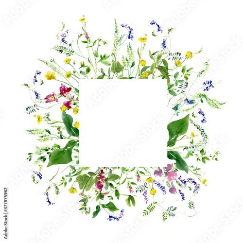 Wallpaper Mural Summer Field Flowers and Sweet Peas Composition - Floral Watercolor Square Frame - Good for Invitation and Greeting card.  Torontodigital.ca