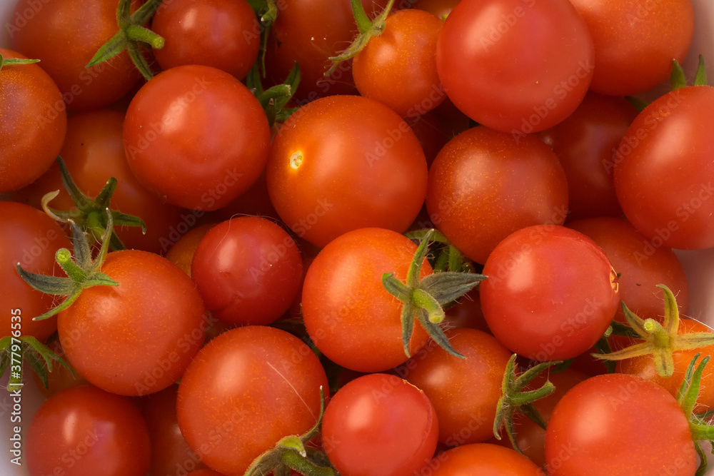 Close-up view of red cherry tomatoes