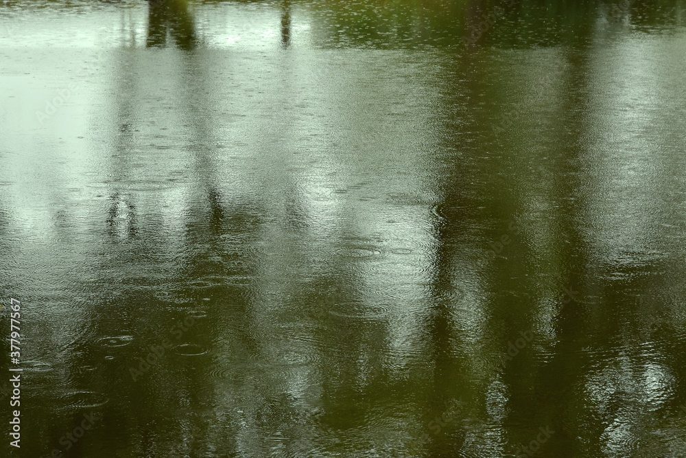 water abstract tree reflection on rainy day water abstract tree reflection on rainy day