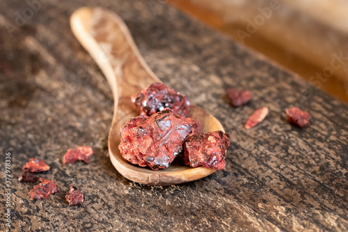 Croton lechleri, or sangre de drago resin on a spoon photo