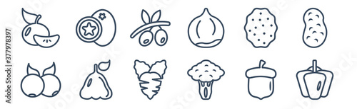 12 pack of icons. thin outline icons such as bell pepper, broccoli, rose apple, lychee, olive, breast milk fruit for web and mobile apps, logo