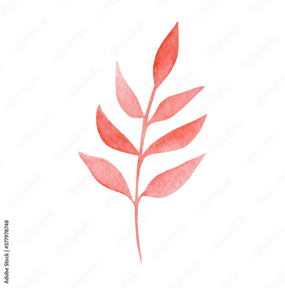 watercolor red branch with leaves isolated on white background. For autumn wedding invitations design, fabric, cards watercolor red branch with leaves isolated on white background. For autumn wedding invitations design, fabric, cards
