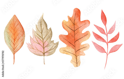 watercolor autumn leaves set isolated on white background for cards  invitations decor