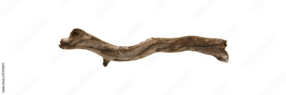 Piece of twig isolated on white Piece of twig isolated on white