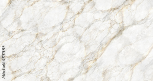elegant Calacatta white marble background