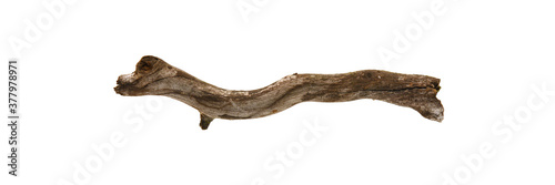 Piece of twig isolated on white