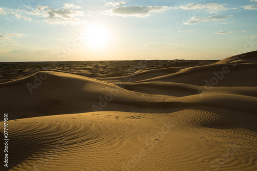 yellow sand on a dune with small vegetation and in the sun