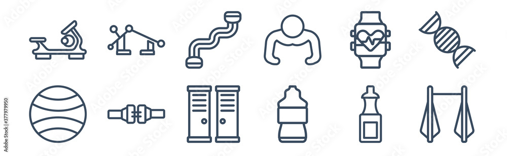 12 pack of icons. thin outline icons such as horizontal bar, isotonic, lumbar belt, pulsometer, resistance band, press simulator for web and mobile apps, logo 12 pack of icons. thin outline icons such as horizontal bar, isotonic, lumbar belt, pulsometer, resistance band, press simulator for web and mobile apps, logo