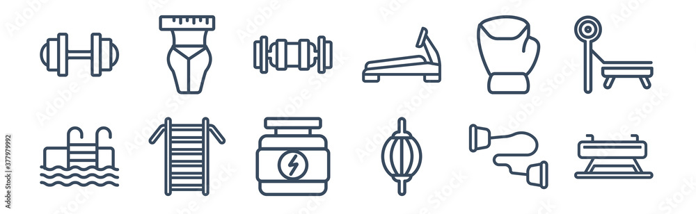 12 pack of icons. thin outline icons such as vaulting horse, stretching punching ball, swedish wall, training gloves, triceps bar, waist for web and mobile apps, logo 12 pack of icons. thin outline icons such as vaulting horse, stretching punching ball, swedish wall, training gloves, triceps bar, waist for web and mobile apps, logo