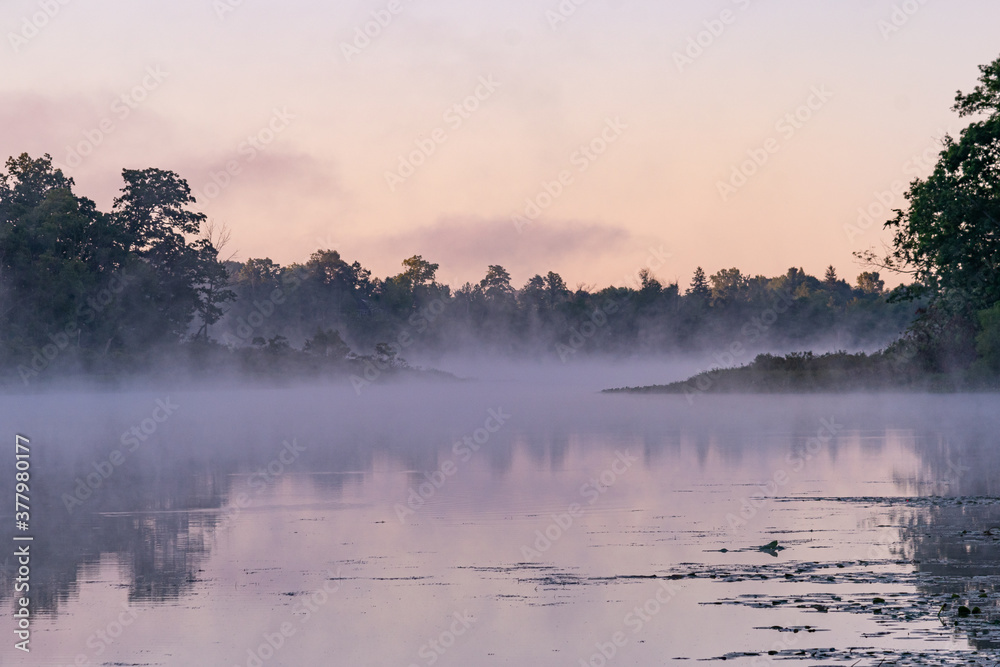Foggy lake in park with trees at sunrise