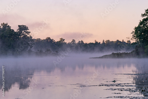 Foggy lake in park with trees at sunrise
