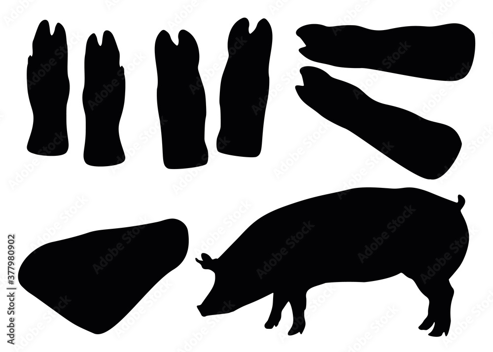 Pig hooves, pork knuckle and pig. Meat set for jelly. Stock