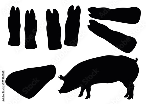 Pig hooves, pork knuckle and pig. Meat set for jelly.