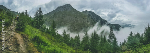 Foggy rocky path in the mountains. Vintage effect. Landscape of the Italian Alps with meadow and trees