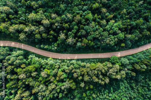Aerial view of the dirt road passing through the forest © smiltena